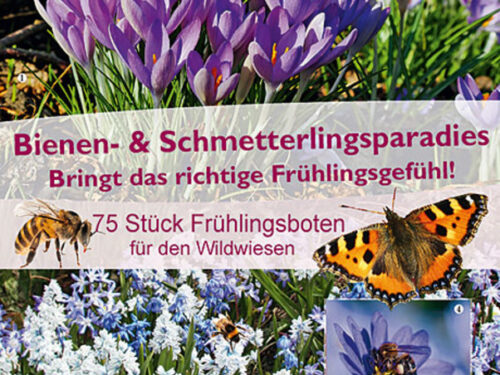 Sort. Frühlingswiese