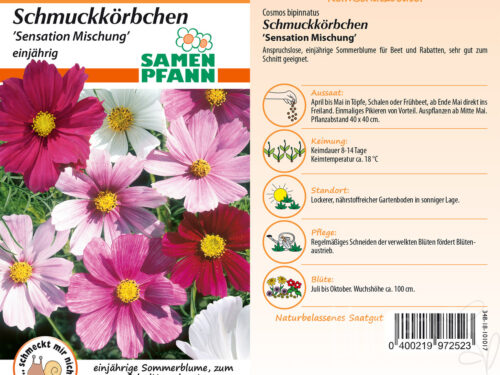 Schmuckkörbchen Sensation Mischung