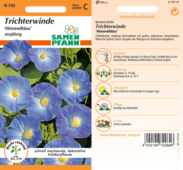 Trichterwinde Himmelblau