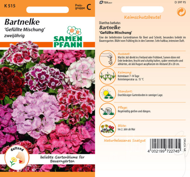 Bartnelken gefüllte Mischung