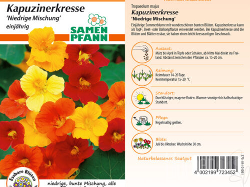 Kapuzinerkresse niedrige Mischung