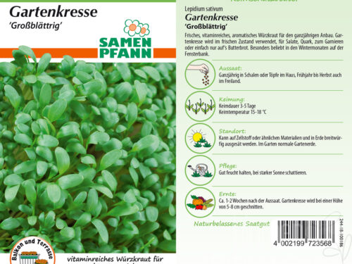 Gartenkresse großblättrig