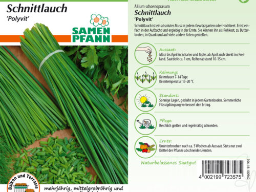 Schnittlauch Polyvit, mittelgrob