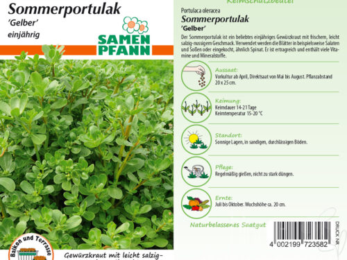 Sommerportulak gelber