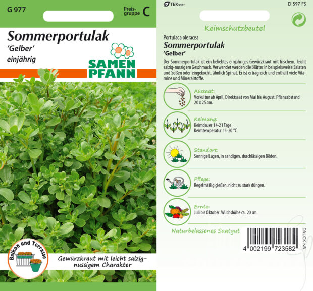 Sommerportulak gelber