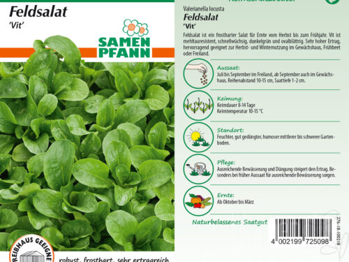 Feldsalat Vit