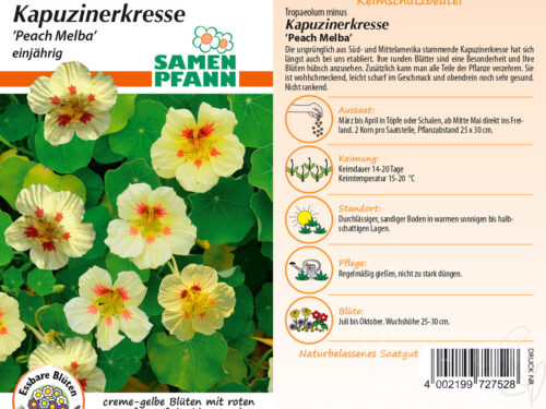 Kapuzinerkresse Peach Melba
