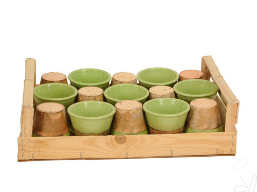 Kübel in Holzkiste