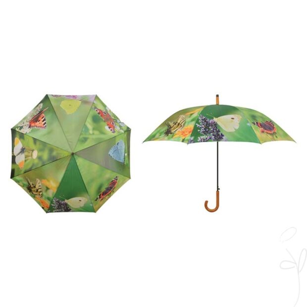 Regenschirm Schmetterlinge