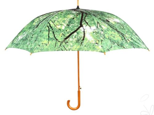 Regenschirm Baumkrone 62 64