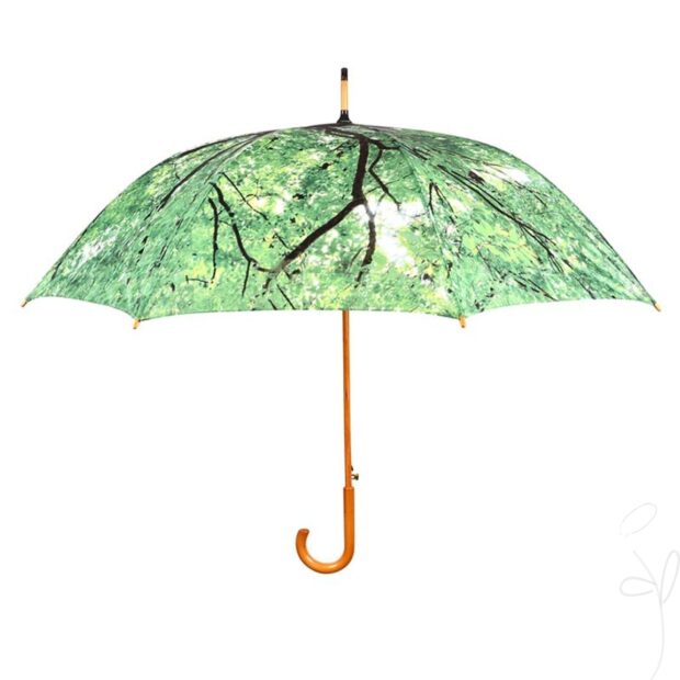 Regenschirm Baumkrone 62 64