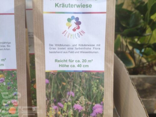 Wildblumen- und Kräuterwiese f. 20qm2