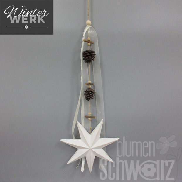 Winterwerk Stern 7zackig z. Hg.
