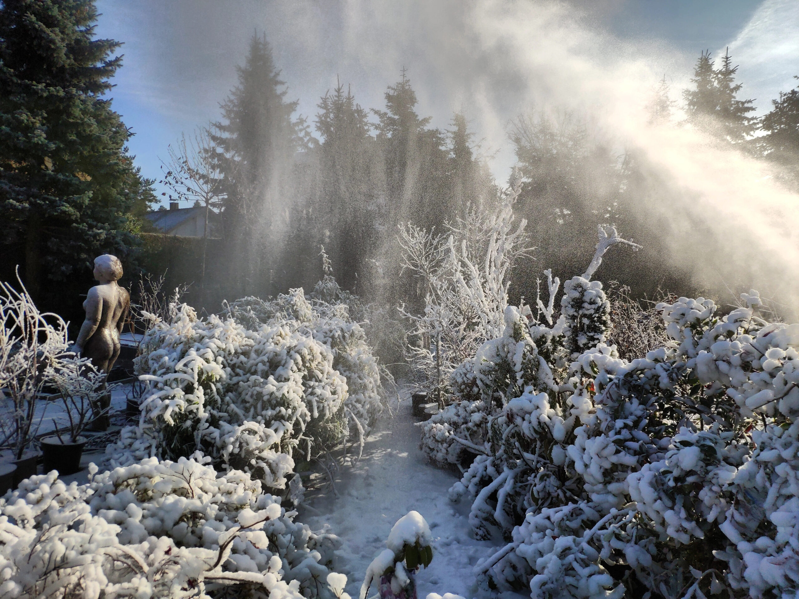 Schnee als Winterschutz für unsere Gehölze und Stauden