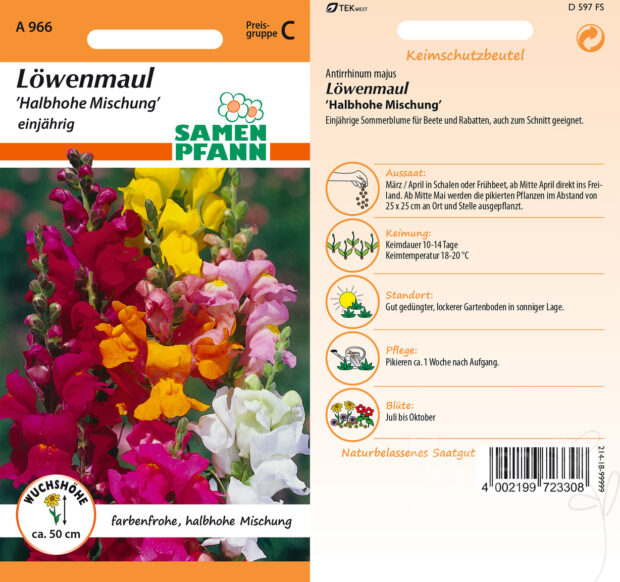 Löwenmaul Halbhohe Mischung