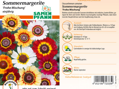 Sommermargeriten Mischung