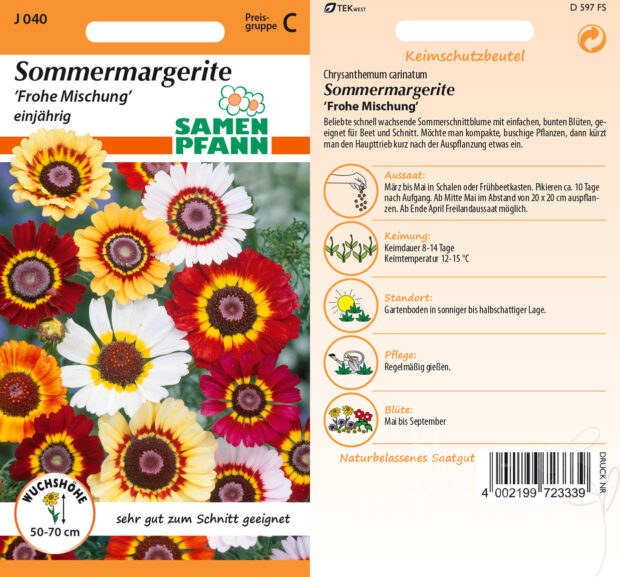 Sommermargeriten Mischung