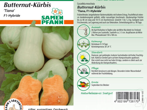 Kürbis Butternut Tiana F1
