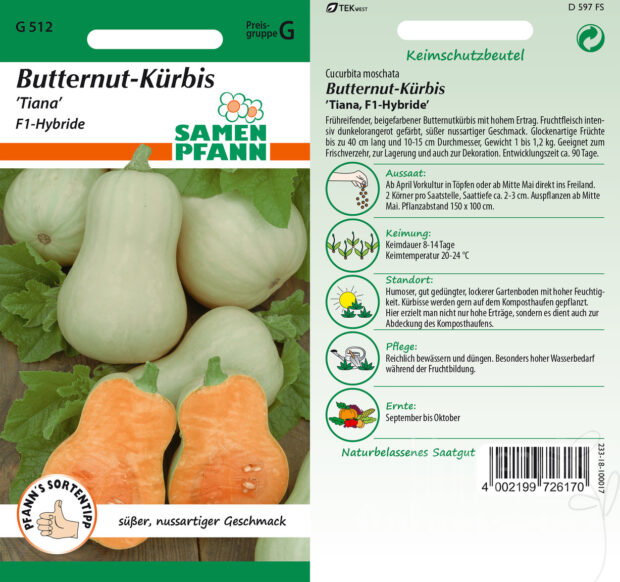 Kürbis Butternut Tiana F1