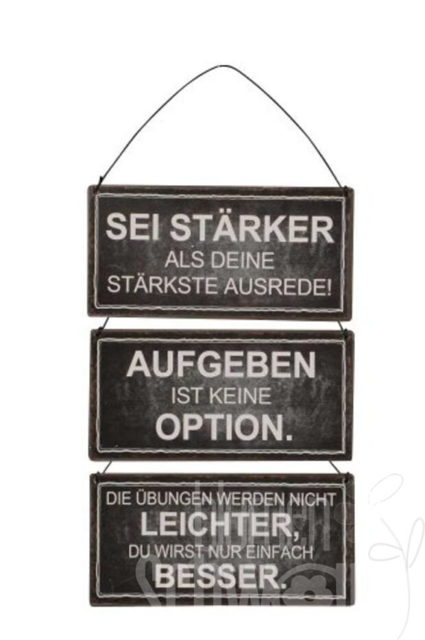Schild Motivation z. Hg. 3 Mod.
