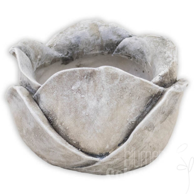 Topf/Poly Blüte, ca. Ø12xH8cm grau
