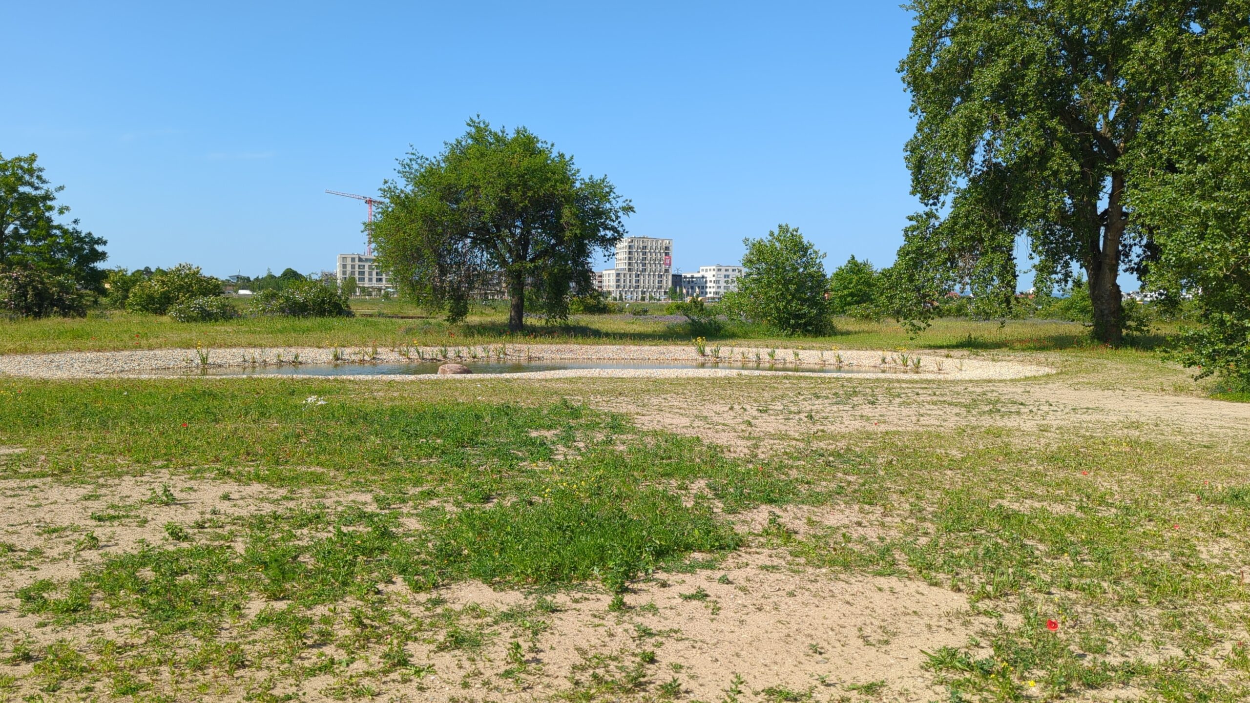 Buga 2023 Mannheim