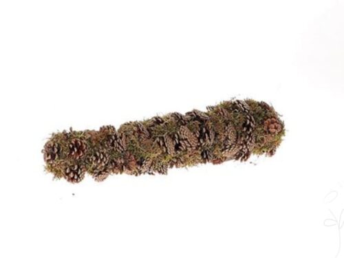 Hanger Moss Pinecone