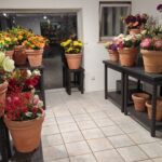 Unser neuer Schnittblumenbereich