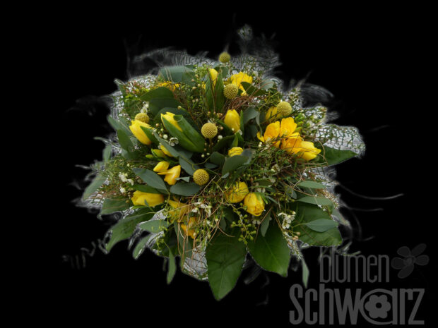 Kurs Frühling bricht sich Bahn 16.02.2024