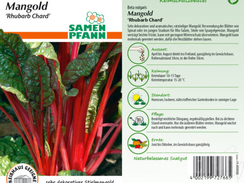 Mangold Rhubarb Chard