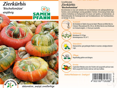 Zierkürbis Bischofsmütze