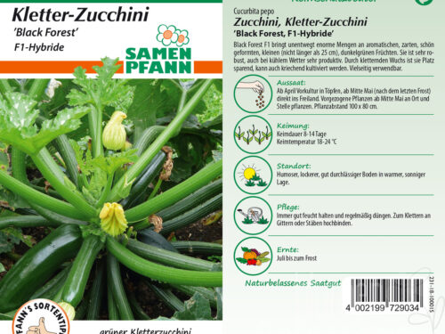 Zucchini Black Forest F1
