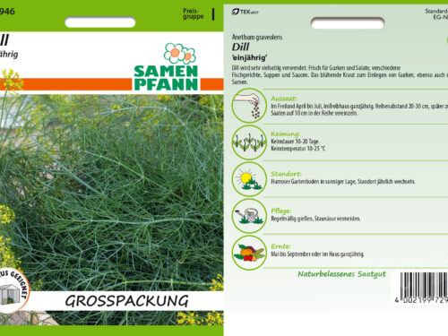 GROßPACKUNG Dill