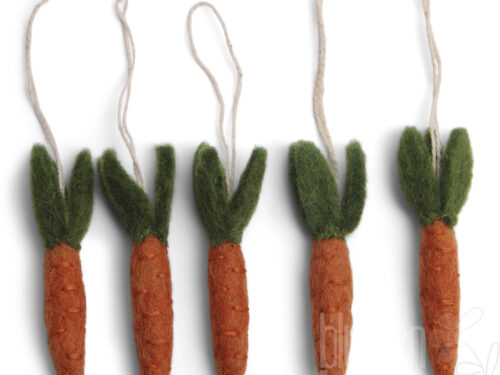Carrots - Set of 5