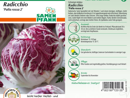 Radicchio Palla Rossa 2