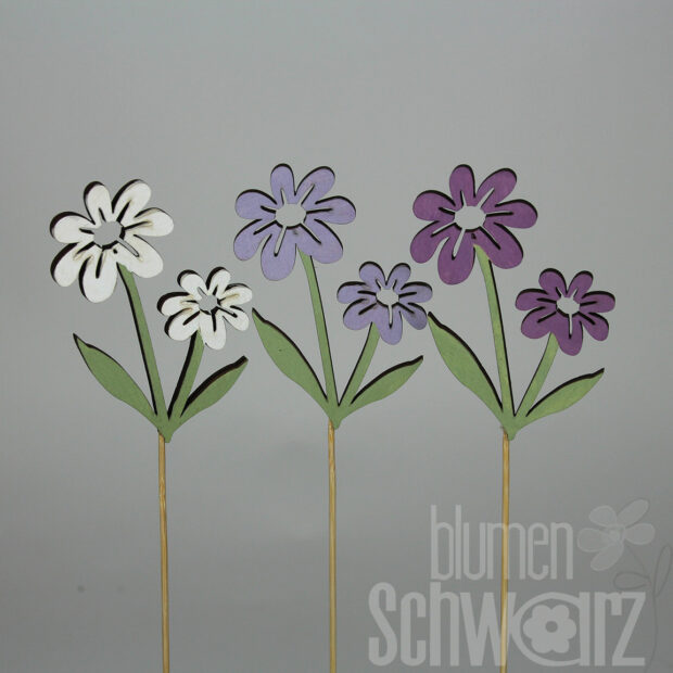 Blume 3fach