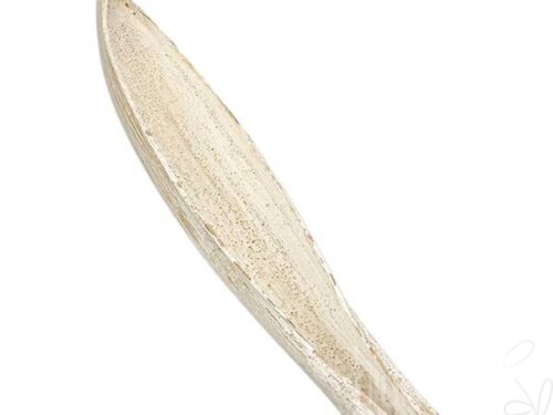 Palmblatt Gigante L60-80cm, frosted