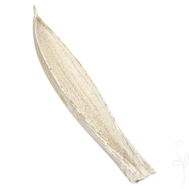 Palmblatt Gigante L60-80cm, frosted