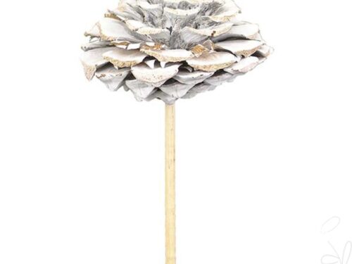 Maritima-Rose gestielt, frosted