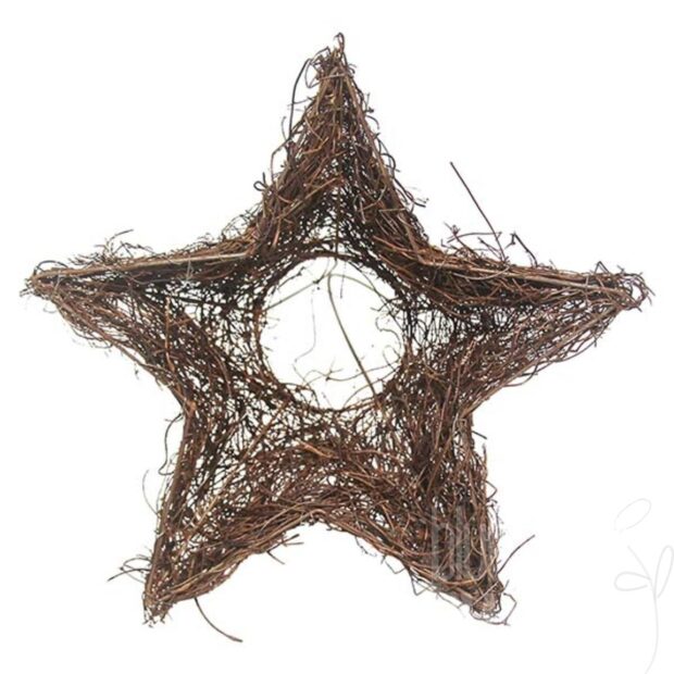 Sternmanschette/Mühlenbeckia, natur, ca. Ø20cm