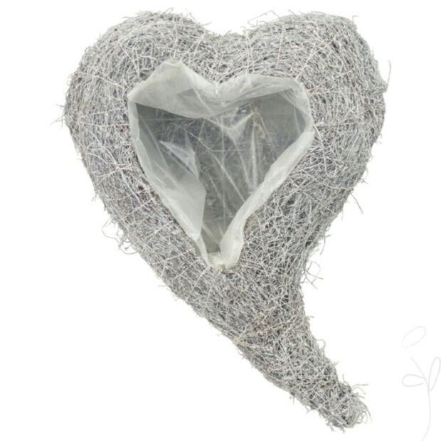 Pfl.Schwungherz/Mühlenbeckia, ca. 30x20xH8cm,