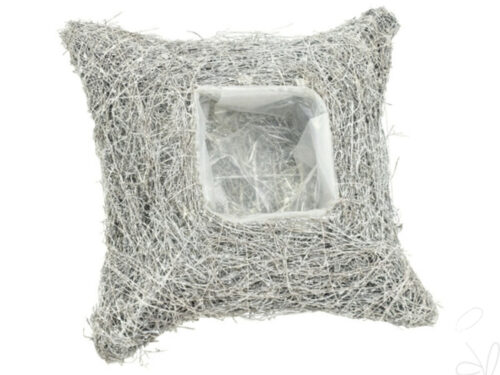 Pfl.Kissen/Mühlenbeckia, ca. 30x30xH8cm,
