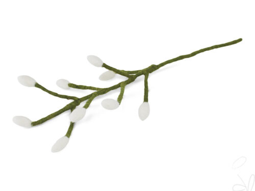Branch with Long White Bells