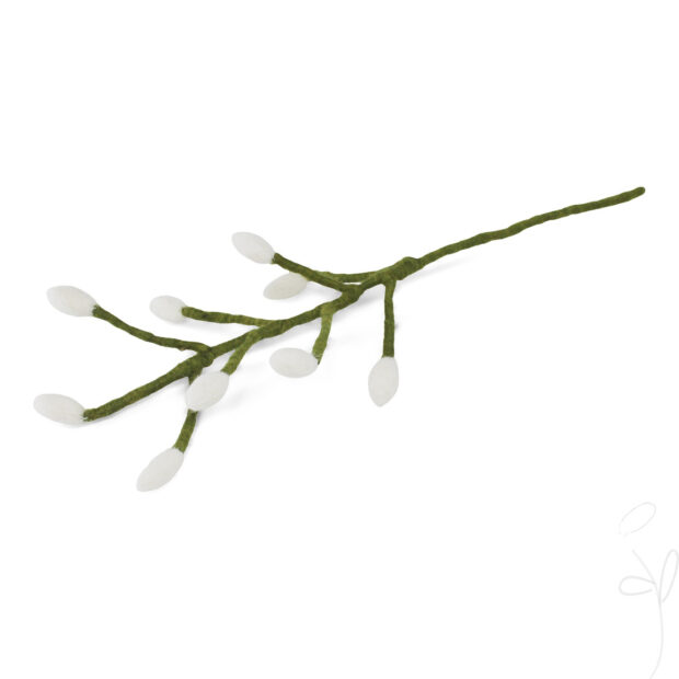 Branch with Long White Bells