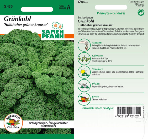 Grünkohl (Blätterkohl) Halbhoher grüner Krauser
