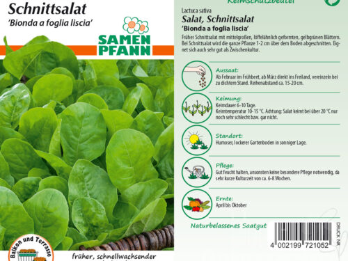 Schnittsalat Bionda a foglia liscia (Hohlblättriger Butter)