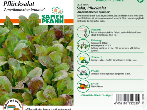 Pflücksalat Amerikanischer brauner