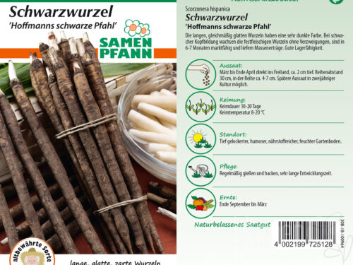 Schwarzwurzeln Hoffmanns schwarze Pfahl