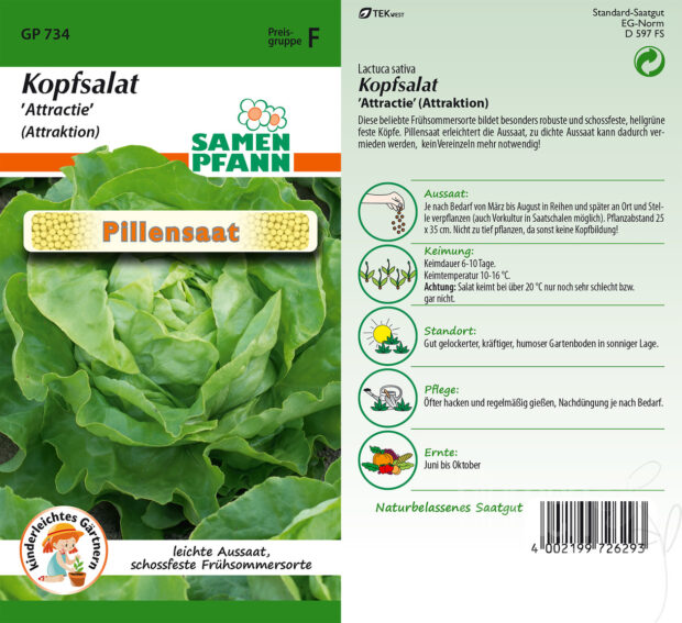 PILLENSAAT Kopfsalat Attractie