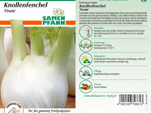 Knollenfenchel Finale